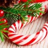 НОВЫЙ ГОД Ташкент 🎄☃️