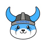 FLOKING || FLOKI