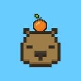 Official CapybaraDEX