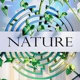Nature - Du Labyrinthe aux Hypothèses