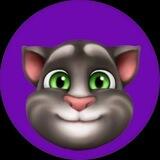 Tom The Talking Cat