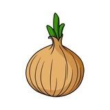 Onion.meme