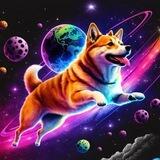 SPACE DOGE