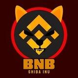 BNBShiba oficial Português