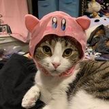 Kirby Cat