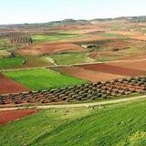 AGRICULTURA GANADERÍA DE ESPAÑA
