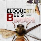 Eloquerth Testimonials.