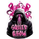 SquidGrow Solana