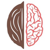 گردو آکادمی