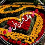 گلستان دل