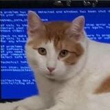 Techno Cat