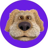 BENDOG | chat CIS