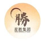 星胜集团业务频道