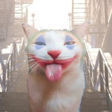 $JOKI Portal | hahaha