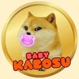 BABYKABOSU 全球社区