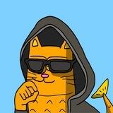 $CATFISH Solana Entry
