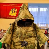 Умный лягушонок