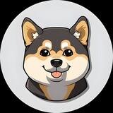 ISHI - Father of All Shiba Inu [Community]