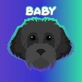 BABY MYRO | The Solana Founders Dog | Memecoin