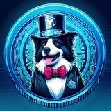 Border Collie BSC