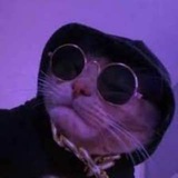 SWAG CAT PORTAL