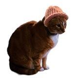 HobbesWifHat - $HWIF portal