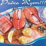 РыбыМоре