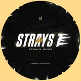 Strays News