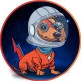 Bowie - Elon Musk's Space Dog Portal