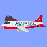 Turkhish Hairlines SOL