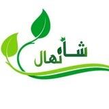 نهالستان شاه نهال مهندس بابالار😍