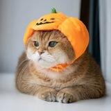 $HOSICO PORTAL