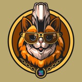 ORANGE CATS - Portal