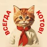Всегда котов