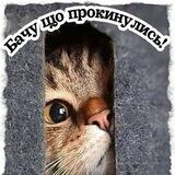 Листiвки Доброго Ранку | Гарного Дня | На Добраніч ⏰