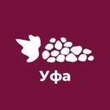 🍇 Фестиваль ВИНОГРАД в Уфе