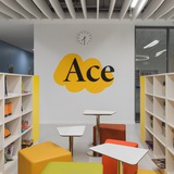 Ace Language Academy