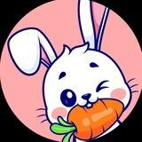 rabbitgames