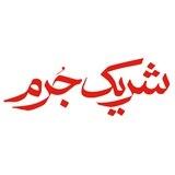 سریال شریک جرم