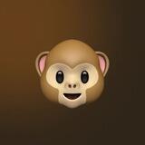 🐵 Бибизяны в TON