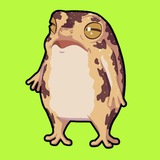 Portal | OMOCHI | TikTok Frog
