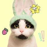 ୧ play , ground w% cute-nESS inside ୭