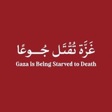 الْبَيَانَ||🇵🇸🔻