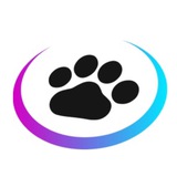 NIKI // Chat + Games, Fun, Charity