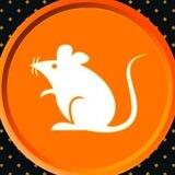 Rats文化墙/新闻资讯/News
