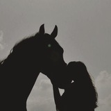Horse Channel