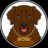 $BOBI - The world's oldest dog