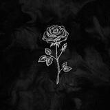 𝙈𝙈𝘼𝙏 。TRuST