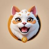 🐱 BABY CAT - GLOBAL 🐱