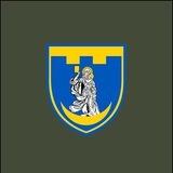 117 окрема бригада ТрО ЗСУ